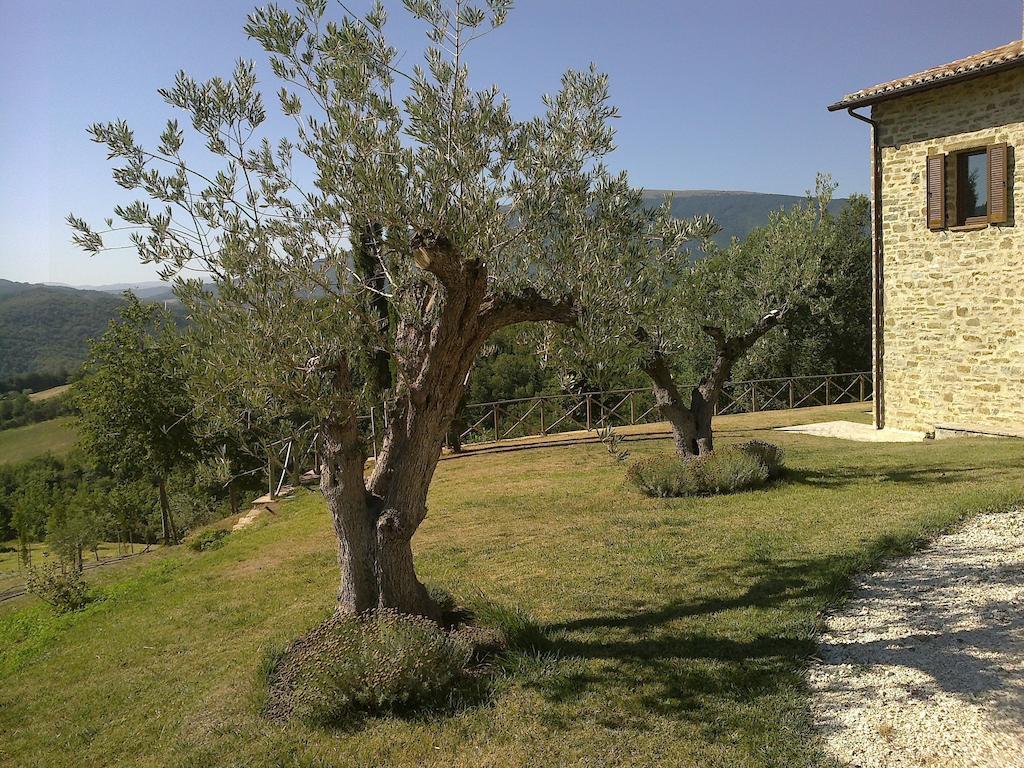 Agriturismo Paradiso 44 Assisi Ngoại thất bức ảnh