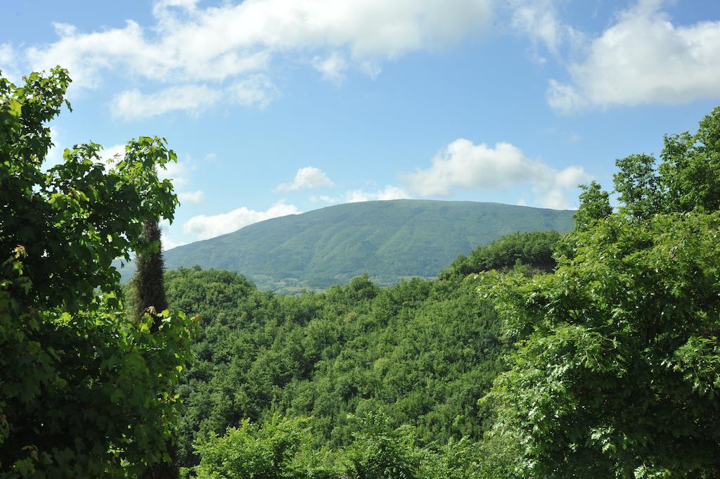 Agriturismo Paradiso 44 Assisi Ngoại thất bức ảnh