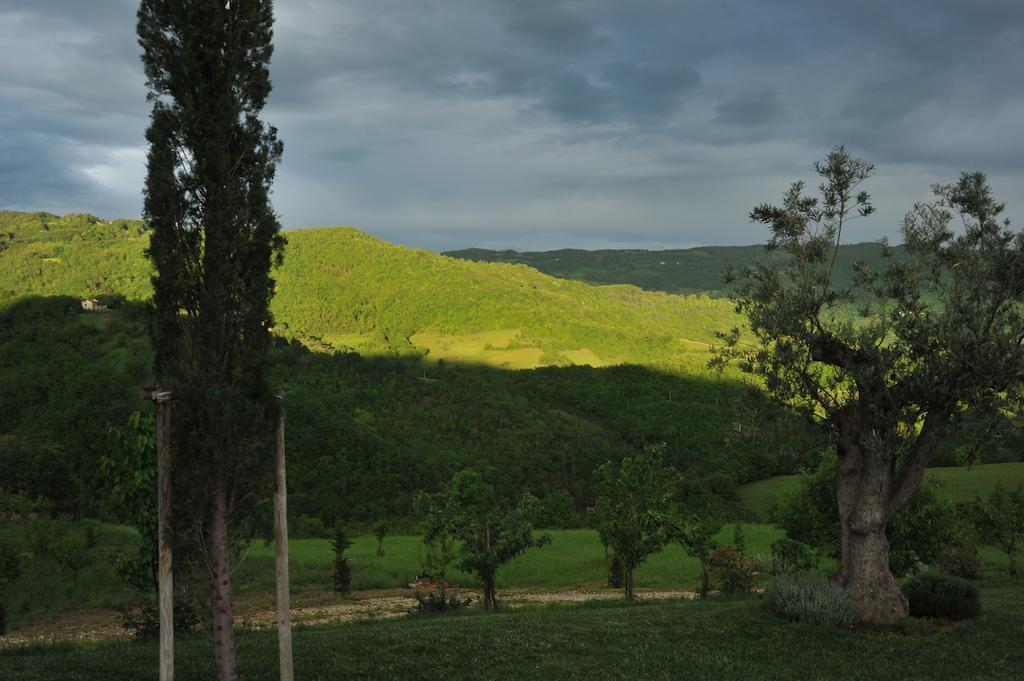 Agriturismo Paradiso 44 Assisi Ngoại thất bức ảnh