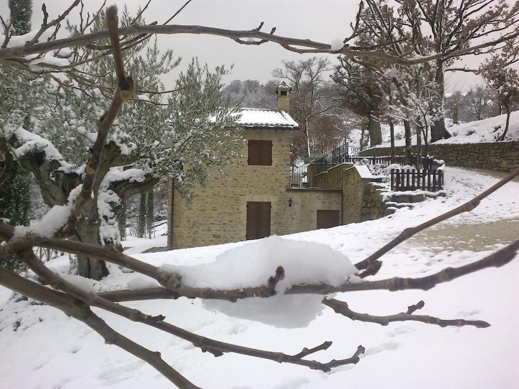 Agriturismo Paradiso 44 Assisi Ngoại thất bức ảnh