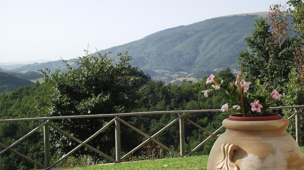 Agriturismo Paradiso 44 Assisi Ngoại thất bức ảnh