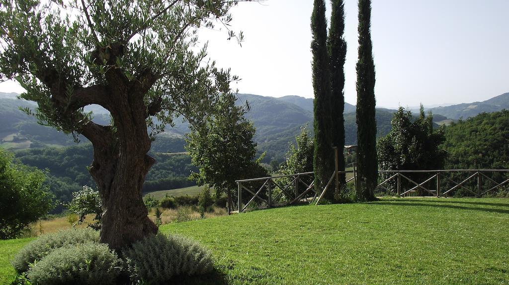 Agriturismo Paradiso 44 Assisi Ngoại thất bức ảnh