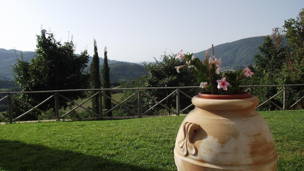 Agriturismo Paradiso 44 Assisi Ngoại thất bức ảnh