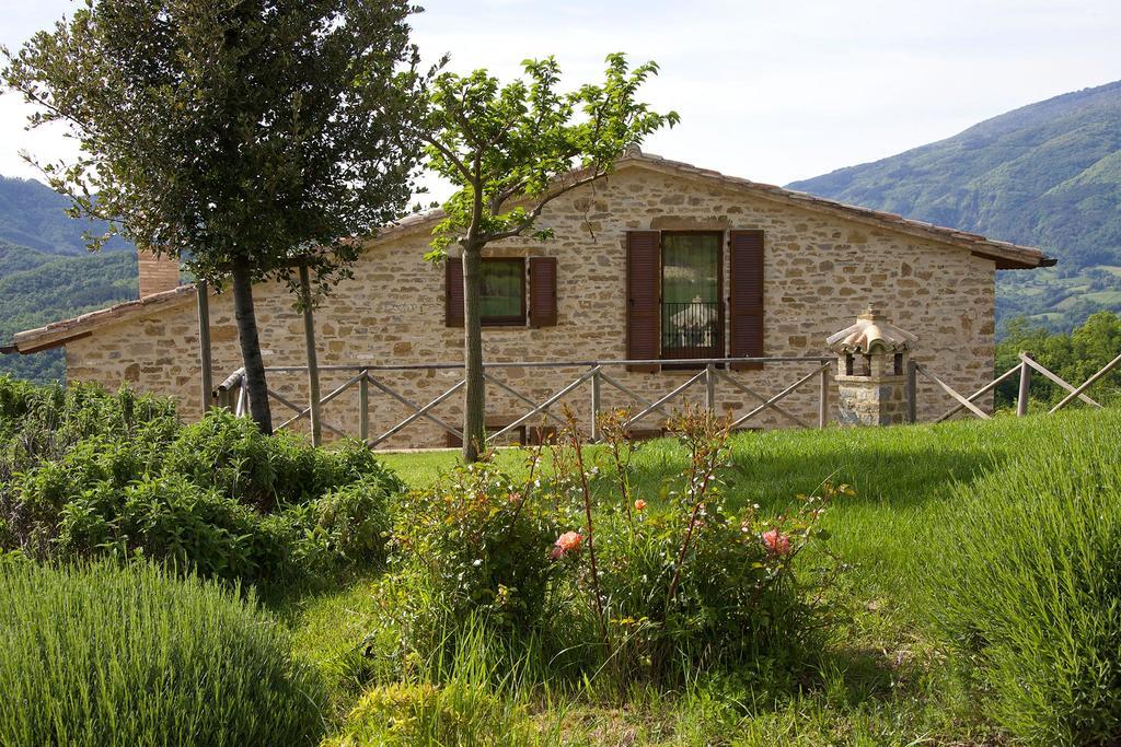 Agriturismo Paradiso 44 Assisi Ngoại thất bức ảnh