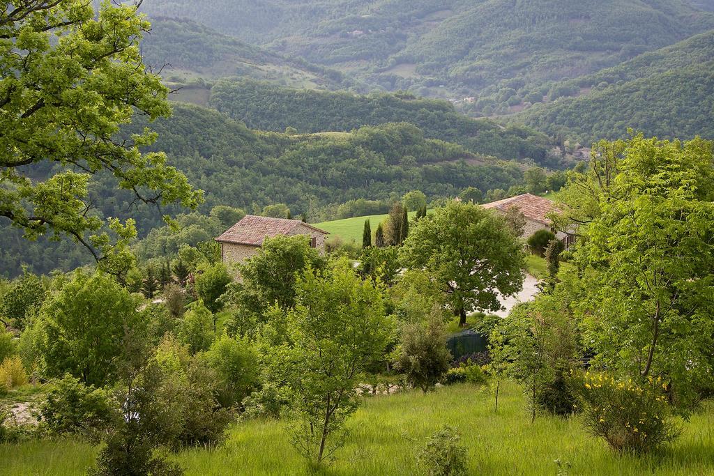 Agriturismo Paradiso 44 Assisi Ngoại thất bức ảnh