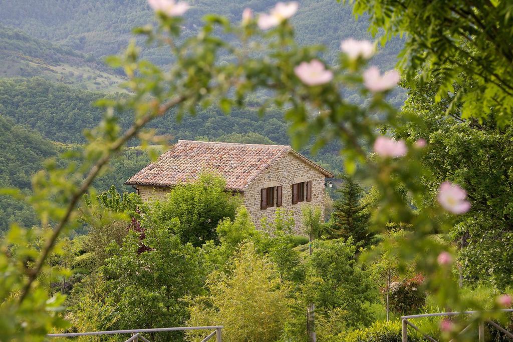 Agriturismo Paradiso 44 Assisi Ngoại thất bức ảnh