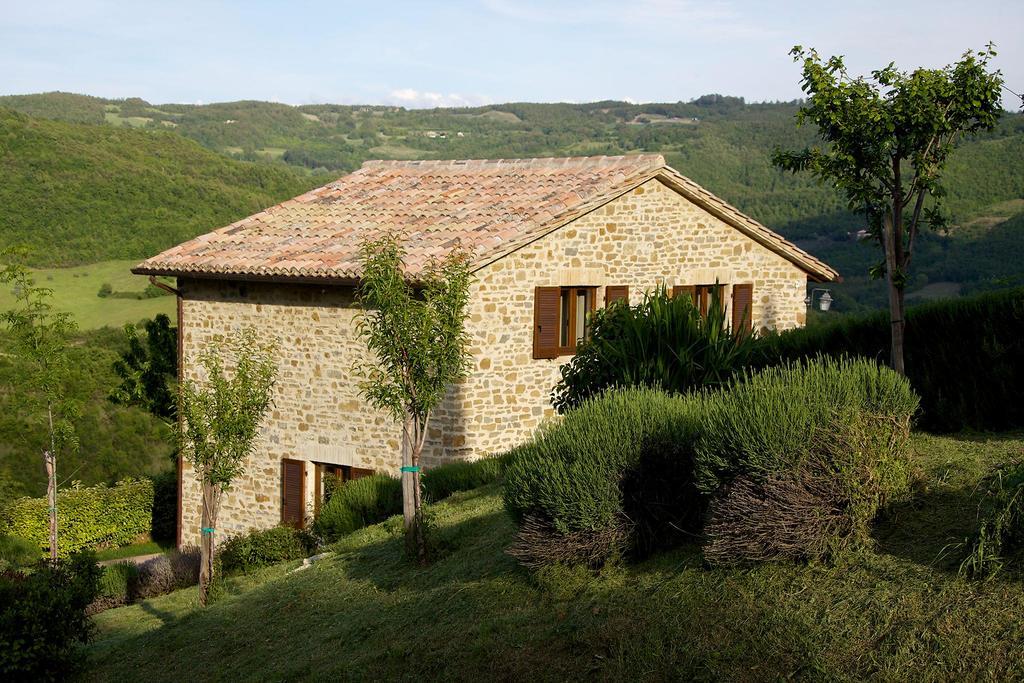 Agriturismo Paradiso 44 Assisi Ngoại thất bức ảnh